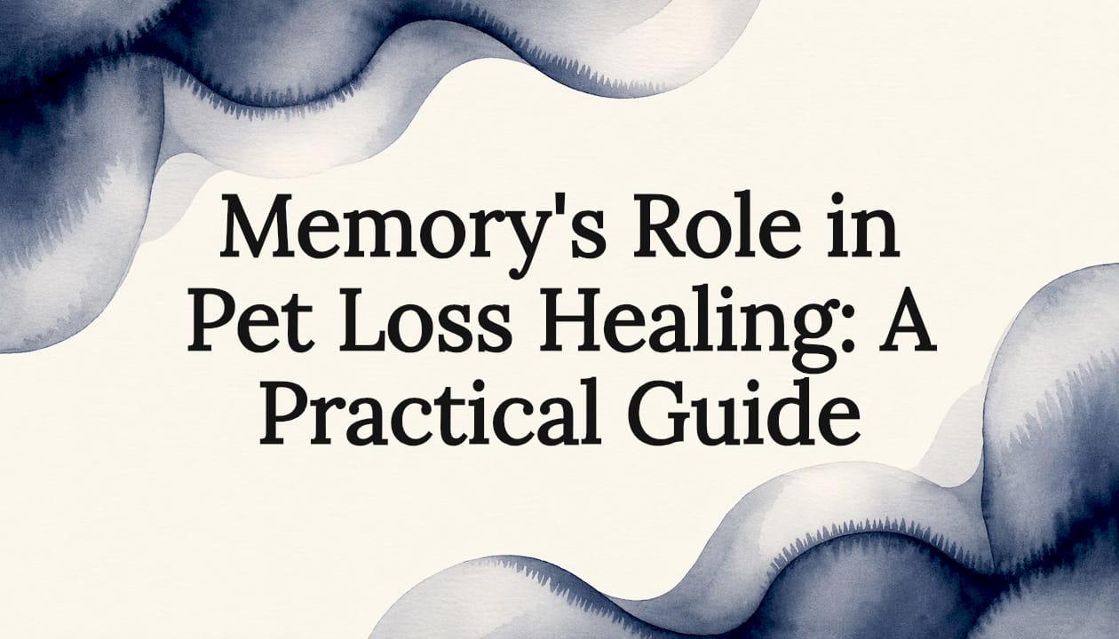 Memory's Role in Pet Loss Healing: A Practical Guide