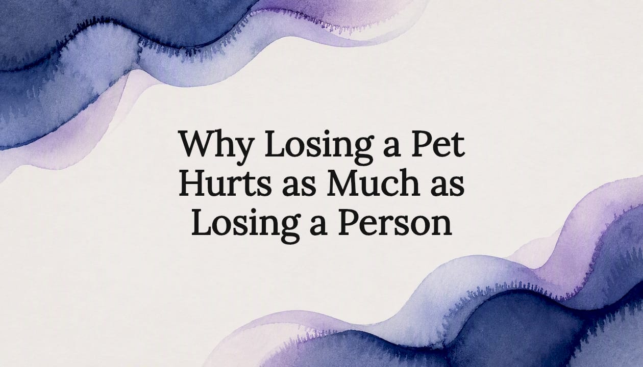 Why Losing a Pet Hurts as Much as Losing a Person